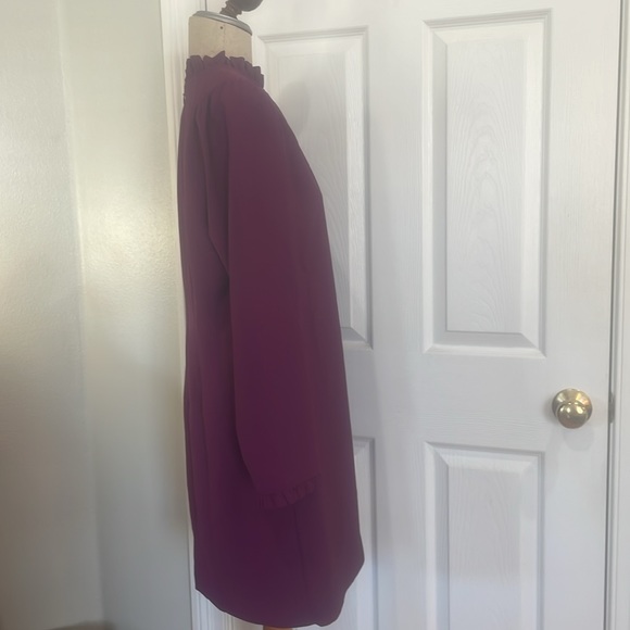 J Crew dress knee length ruffle high neck long sleeve zipper lined womens size 8 - Picture 5 of 13